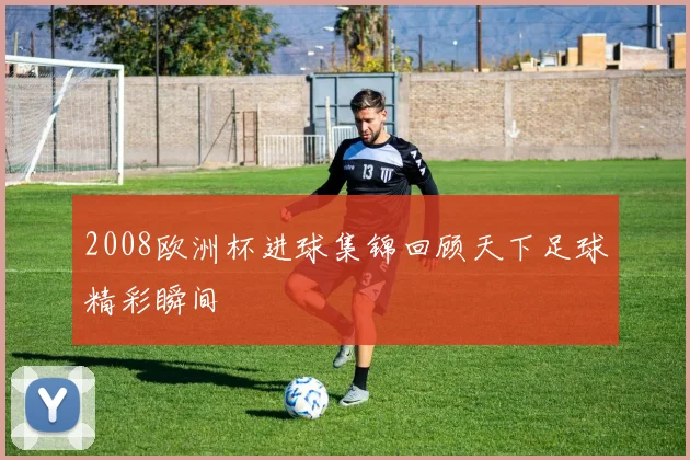 2008欧洲杯进球集锦回顾天下足球精彩瞬间